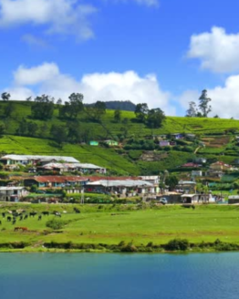 Nuwara Eliya Nuwara Eliya